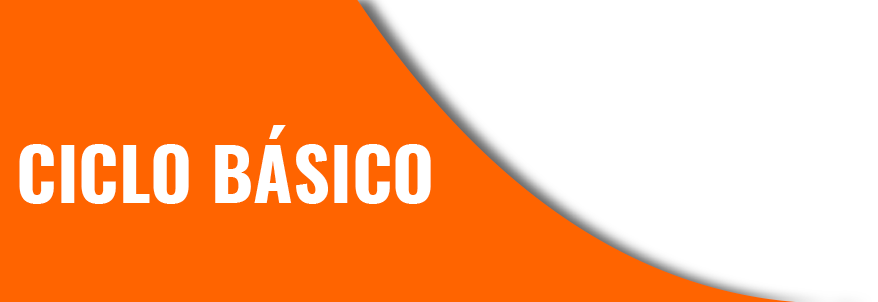 Básico